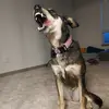 Hannah - @hmkiesel - TikTok
