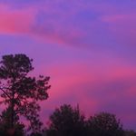 hannah - @_hannahkimbrough_ - Instagram