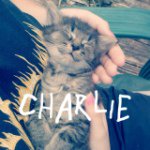 Hannah - @hannah_kimes - Instagram
