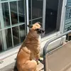 Hannah Kirchner - @hannahjordan97 - TikTok