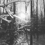 Sonnenschein - @hannahkirchner34 - Instagram