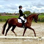 Hannah Kirsch - @lfh.horses - Instagram