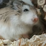 Hannah klement - @hannah_timmy1 - Instagram