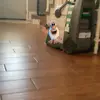 Hannah Klinger - @hannahklinger2 - TikTok