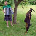 Hannah Klopfenstein - Facebook