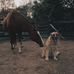 Hannah Koester - Facebook