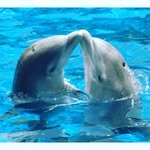 hannah koppel - @hannah_koppel_123 - Instagram