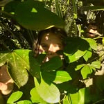 @hannah_koppenhoefer - Instagram
