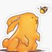 Hannah Kovac - Facebook