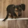 hannahkroll35 - @hannahkroll35 - TikTok