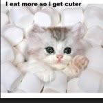 Hannahlacroix - @marshmellowqueen123 - Instagram
