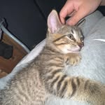 Hannah Langston - @hannah.langston65 - Instagram