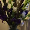 hannahlaroche2gmailcom - @hannahlaroche2gma - TikTok