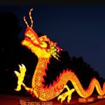 Hannah, Layne, Elli K, Grace - @historyofchina.neighbor - Instagram