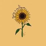 Hannah Leibowitz - @hann.ahleibowi - Instagram
