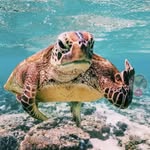 hannah leibowitz - @_xoxo_hannah - Instagram
