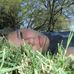 Hannah Lemley - Facebook