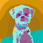Hannah Lemons - @hlemons.graphicform - Instagram