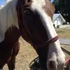 Hannah Lessard - @hannahl90 - TikTok