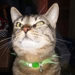 Hannah Libby - @hannah.libby.9883 - Instagram