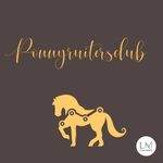 •hannah•luka•luna•solar•lien• - @ponyruitersclub - Instagram
