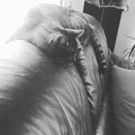 Hannah Loos - @h_a_n_n_a_h_l_ - Instagram