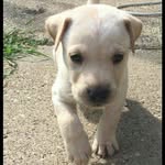 Hannah Lucille - @hannahs_slime_factory - Instagram