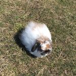 Hannah Luke - @life_by_hannah.l - Instagram