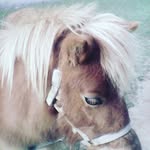 hannahLuper my babby girl - @hannahluper15 - Instagram