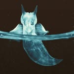 Hannah Luttrell - @seaangelmusic - Instagram