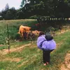 hannahlyzing - @hannahlyzing - TikTok