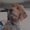Hannah Mack - @hannah_mack_070308 - TikTok