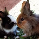 Hannah Maier - @hannah_maier10 - Instagram