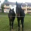 Hannah Maier - @hannah.maier - TikTok