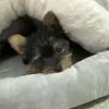 Hannah Marquez - @hannah.marquez90 - TikTok