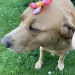 Hannah Marsden - Facebook