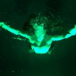 hannah matthews 🧩 - @honniematt - Instagram