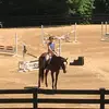 Hannah Mayer - @hannah.mayer16 - TikTok