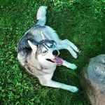 Hannah Mccallister - @hannah_nicole_mccallister59 - Instagram