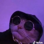 Hannah_nicole_mccallister - @hannah_nicole_mccallister_ - Instagram