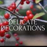 Hannah McClain - @delicate_decorations - Instagram