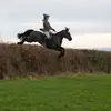 Hannah McCrory🦄 - @hannah.mccrory1 - TikTok