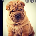 Hannah McDowell - @hannahmcdowell53 - Instagram