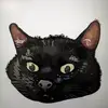 This cool bean - @hannahmckinnon0 - TikTok