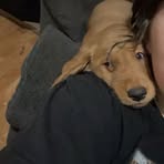 Hanna Medley - Facebook