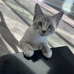 Hannah Medley - @nursephotomusicmom - Instagram