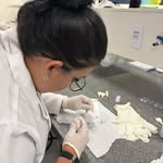 Hannah Mello - @farmaco.hannahmello - Instagram