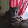 Hannah Moyer - @hannah.moyer23 - TikTok