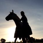 Hannah Scott & Sunny Nathan - @tassie.equine - Instagram
