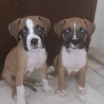 Hannah & Noah - @_hannah.noah - Instagram